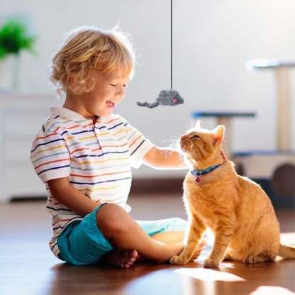 48% OFF-Hanging Door Bouncing Mouse Cat Toy,BUY 3 GET 4 FREE (7 PCS & FREE SHIPPING)-SLOOSELYK