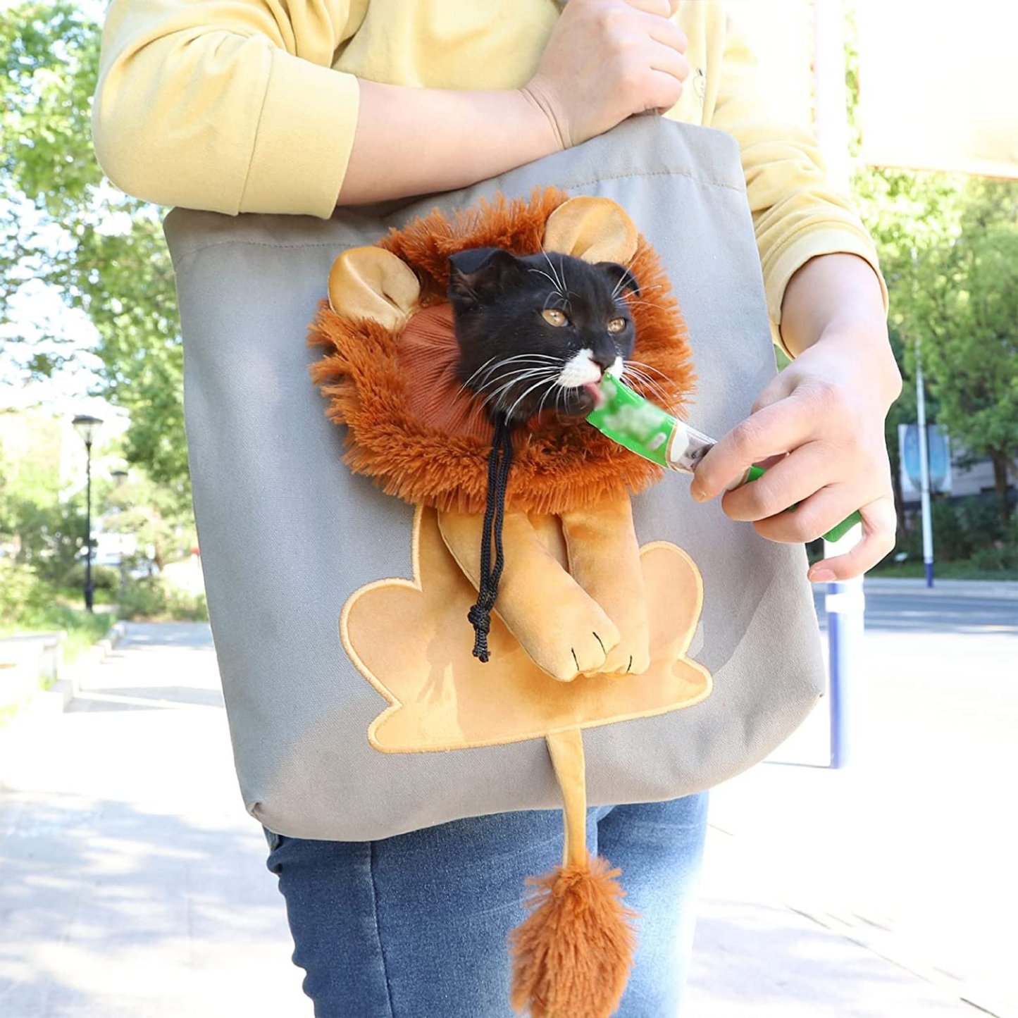 Lion-Shaped Pet Canvas Shoulder Bag-SLOOSELYK