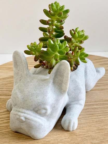French Bulldog Planter-French Bulldog Gifts-SLOOSELYK