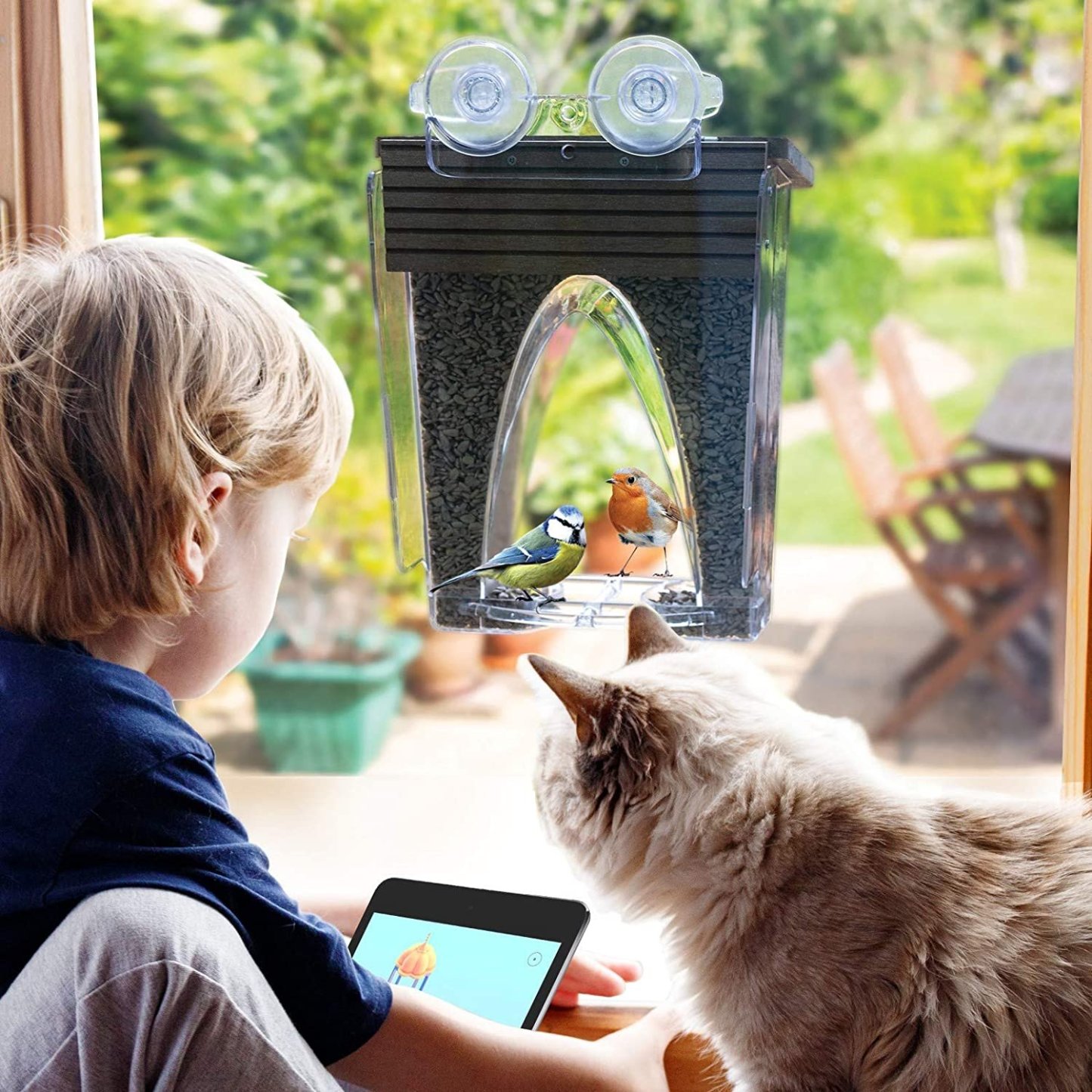 🐦2024 New Year Sale💝 Arch Window Bird Feeder🏠-SLOOSELYK