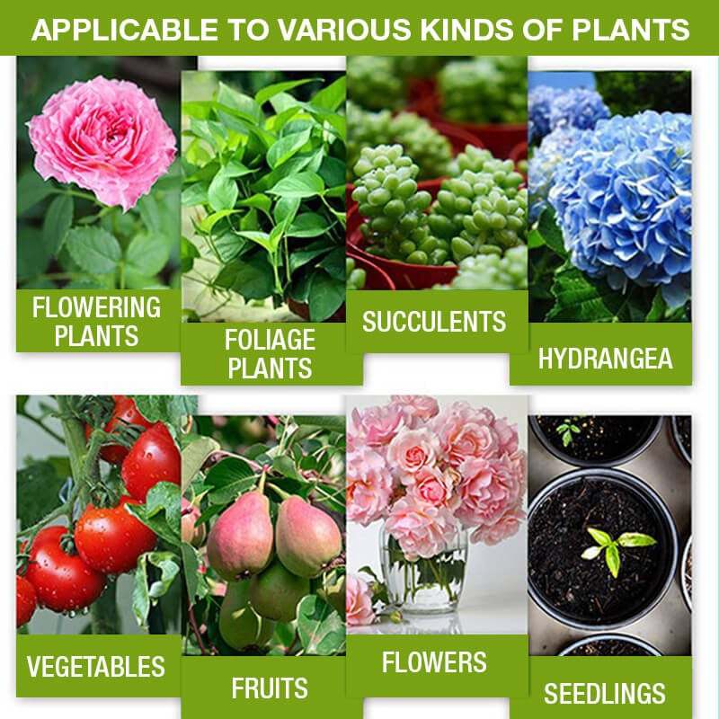Plant Growth Enhancer Supplement-SLOOSELYK