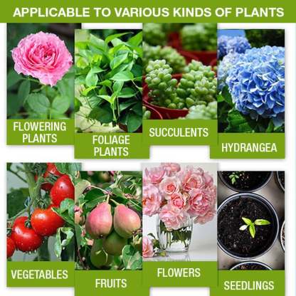 Plant Growth Enhancer Supplement-SLOOSELYK