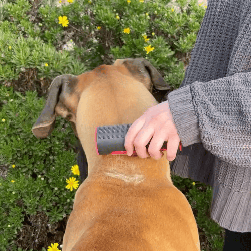 3 in 1 Deshedding Undercoat & Fur Brush-SLOOSELYK
