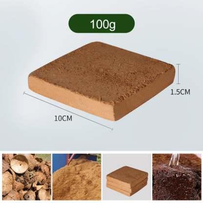 Organic Coconut Coir for Plants-SLOOSELYK