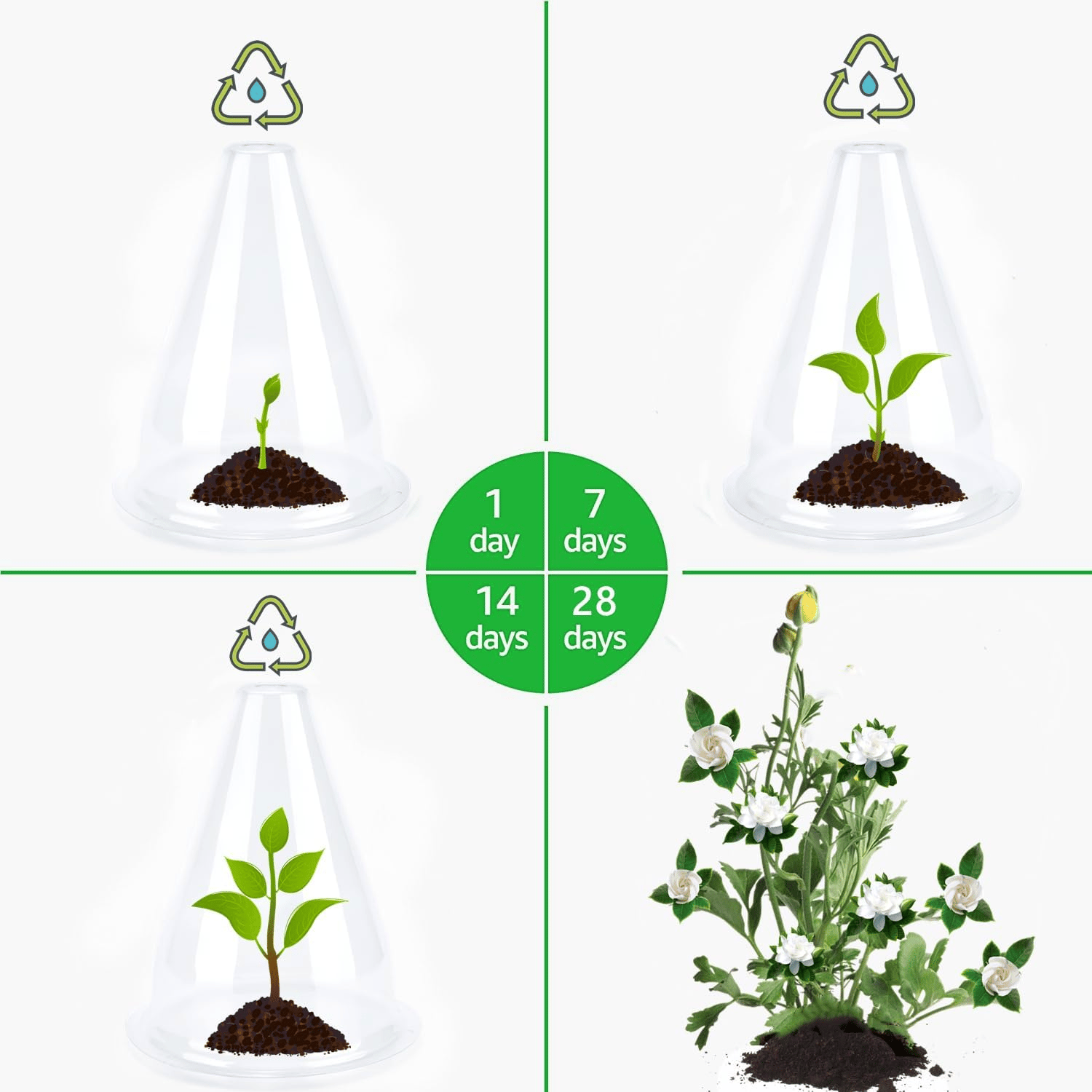 🌿Gardening Greenhouse Plant Covers 🌱Reusable, light-transmitting and breathable💪Prevent🐛insect🐓Poultry❄Frost🌧Rain🌪Wind-SLOOSELYK