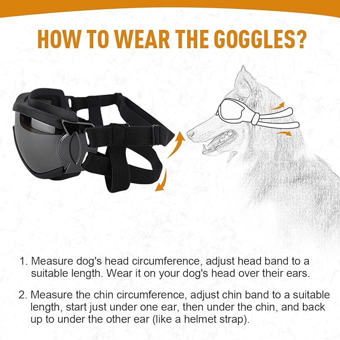 🔥BUY 2 GET 10% OFF💝Outdoor Goggles for Your Dogs