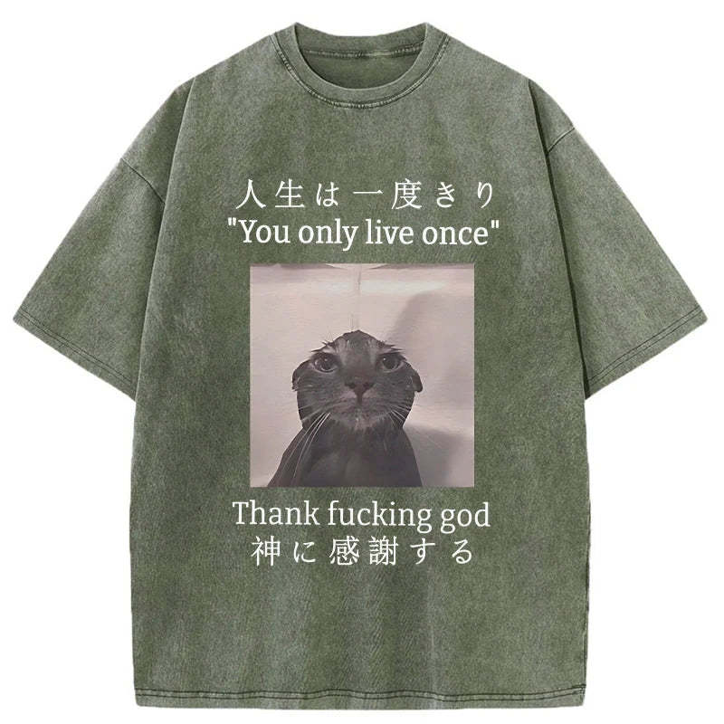 Funny Melancholy Cat Washed T-Shirt