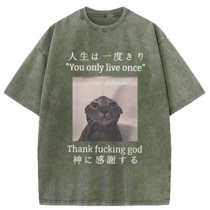 Funny Melancholy Cat Washed T-Shirt