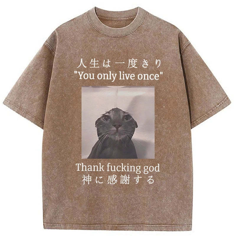 Funny Melancholy Cat Washed T-Shirt