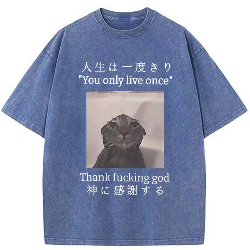 Funny Melancholy Cat Washed T-Shirt