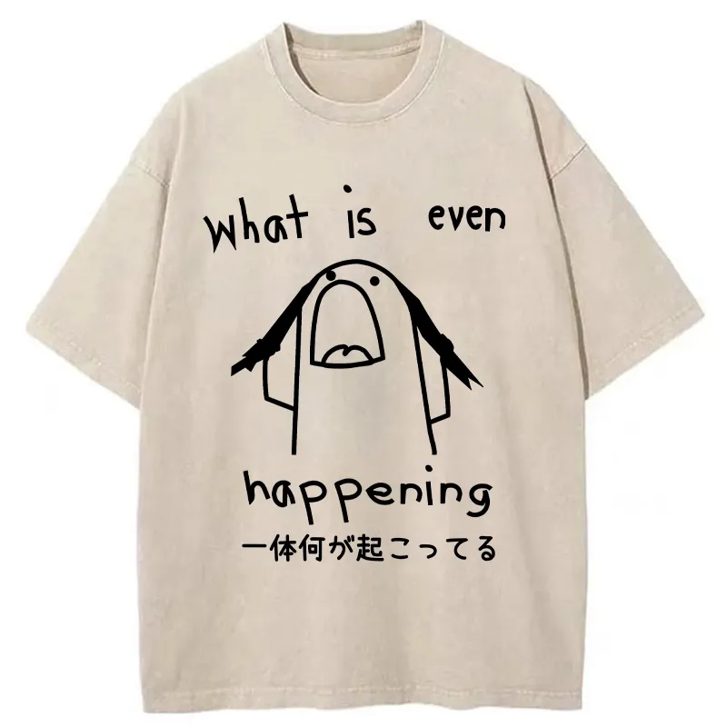 What Is Even Happening Washed T-Shirt