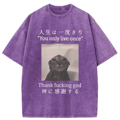 Funny Melancholy Cat Washed T-Shirt