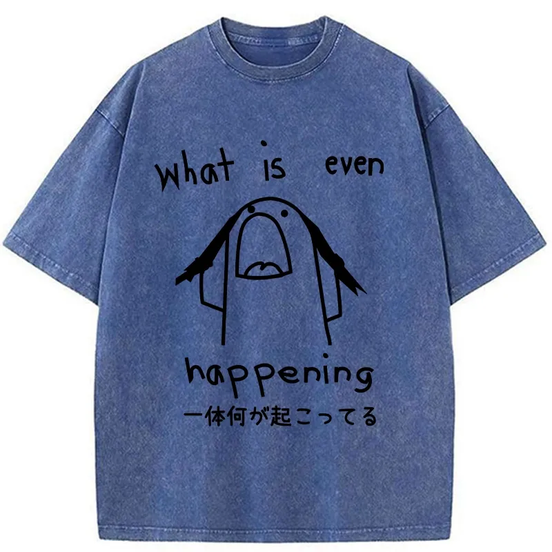 What Is Even Happening Washed T-Shirt