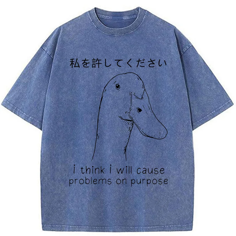 Stupid Goose Funny Washed T-Shirt