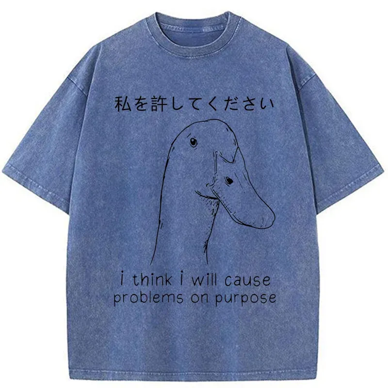 Stupid Goose Funny Washed T-Shirt