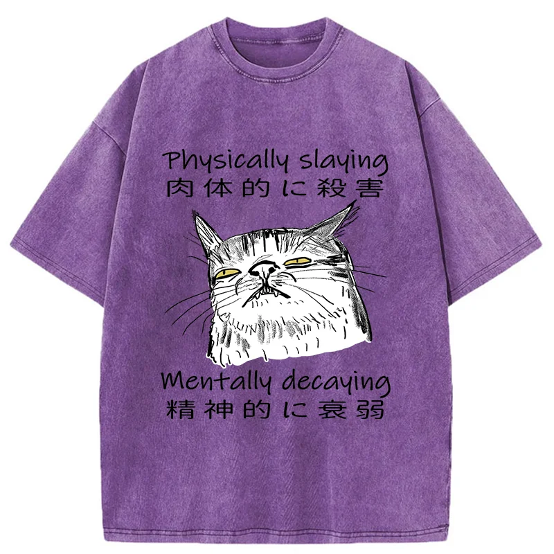Mentally Decaying Cat Washed T-Shirt