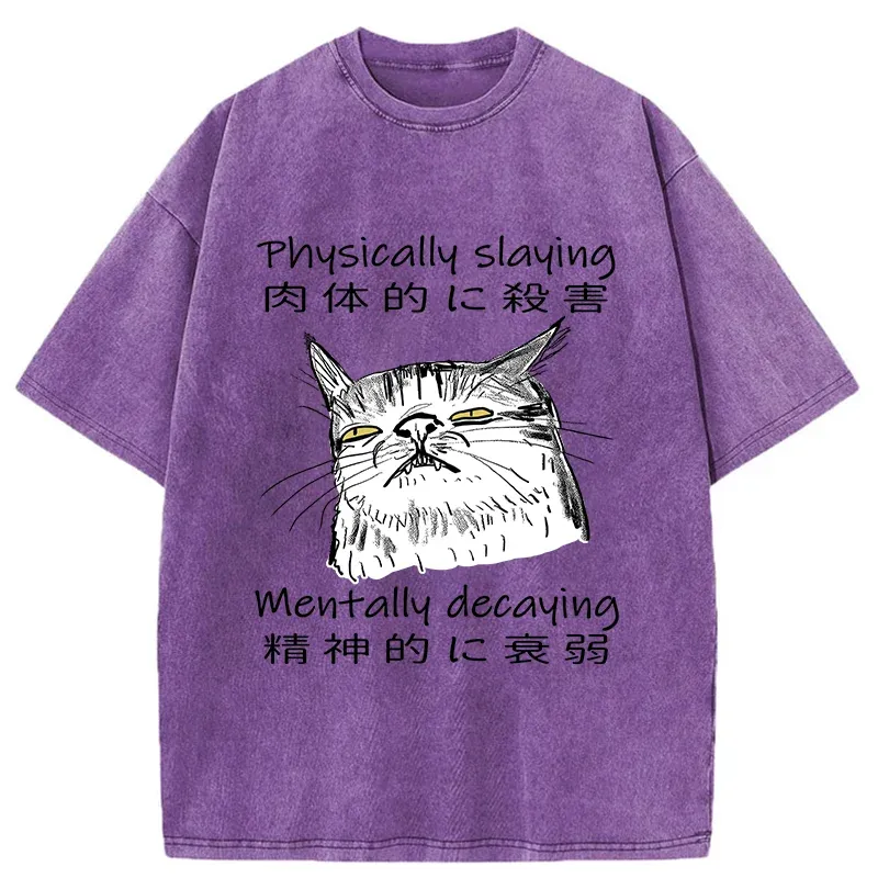 Mentally Decaying Cat Washed T-Shirt