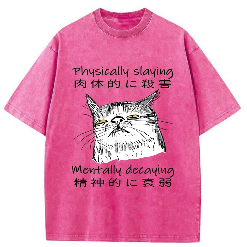Mentally Decaying Cat Washed T-Shirt