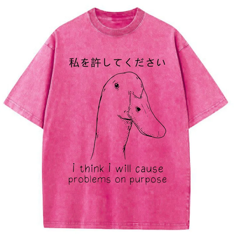 Stupid Goose Funny Washed T-Shirt