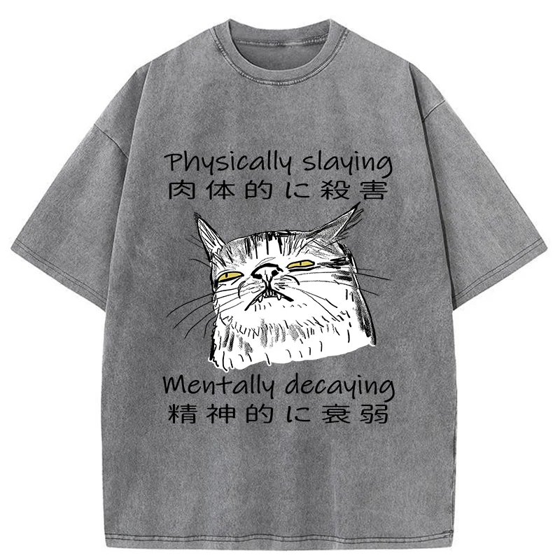 Mentally Decaying Cat Washed T-Shirt