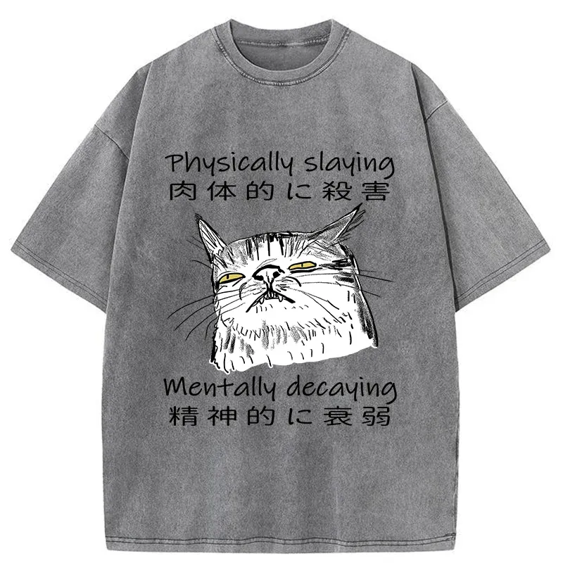 Mentally Decaying Cat Washed T-Shirt