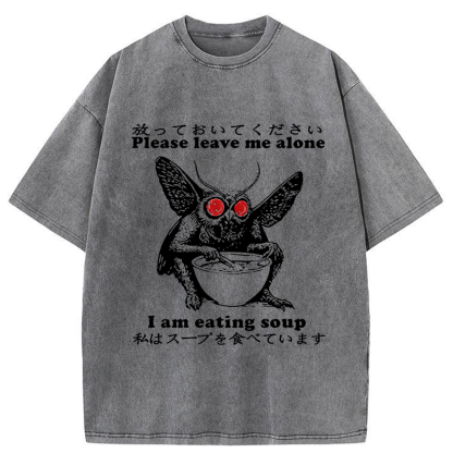 Don't Bother The Mothman Washed T-Shirt