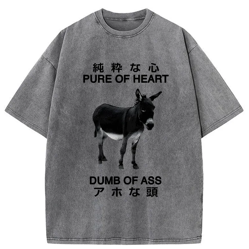 Pure Of Heart Dumb Of Ass Washed T-Shirt