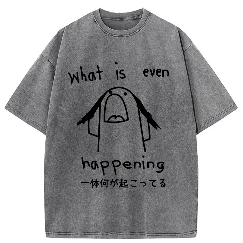 What Is Even Happening Washed T-Shirt