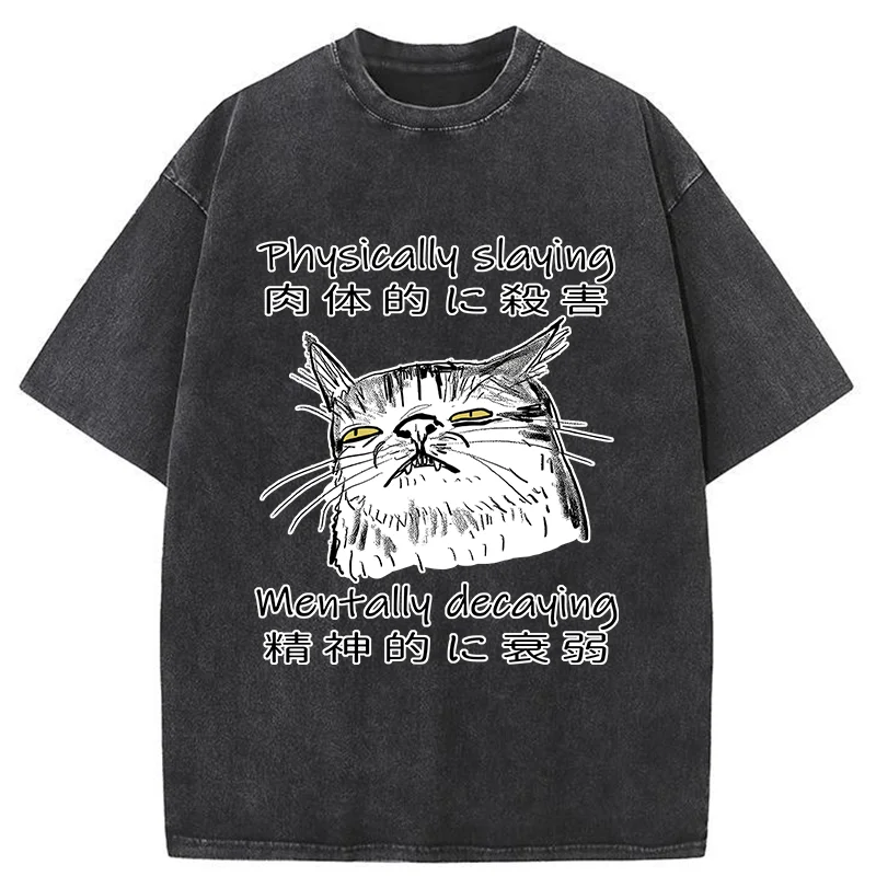 Mentally Decaying Cat Washed T-Shirt