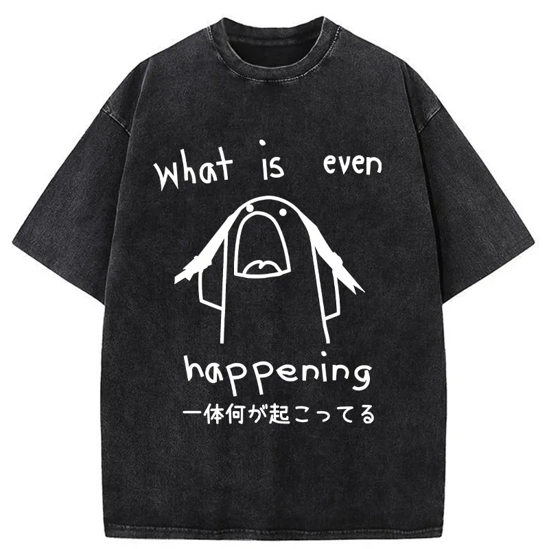 What Is Even Happening Washed T-Shirt