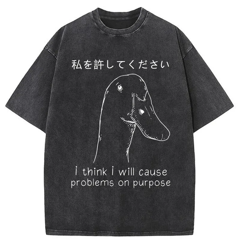 Stupid Goose Funny Washed T-Shirt