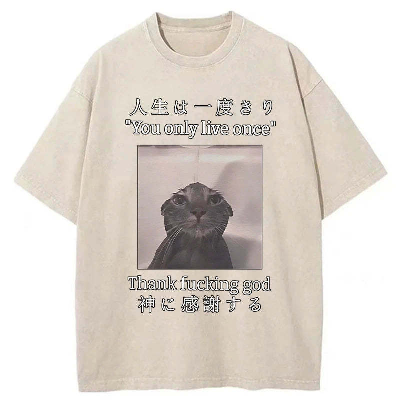 Funny Melancholy Cat Washed T-Shirt