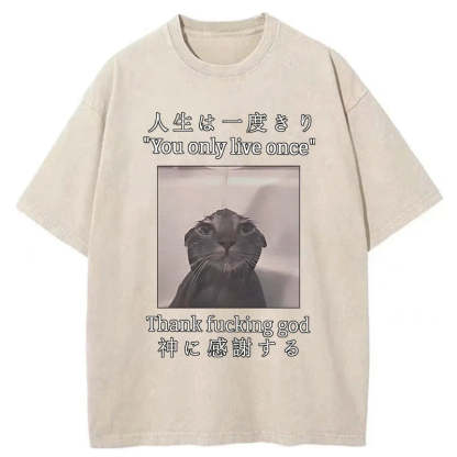 Funny Melancholy Cat Washed T-Shirt