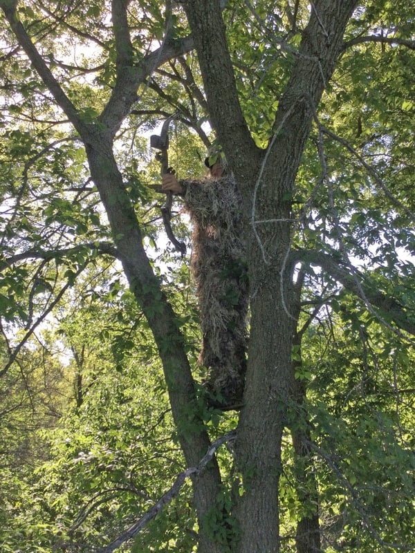 Apex Predator Tree Stand