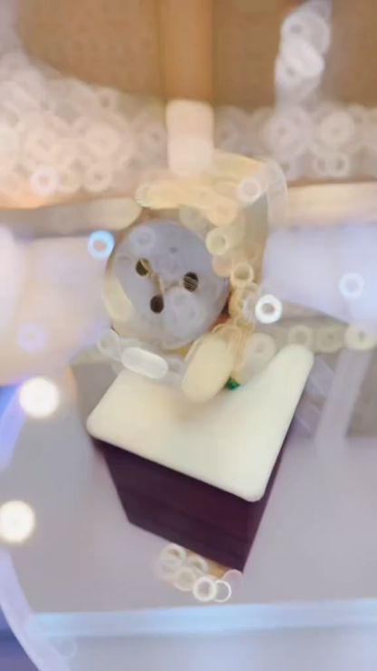 Daytona Gold Meteorite 40mm