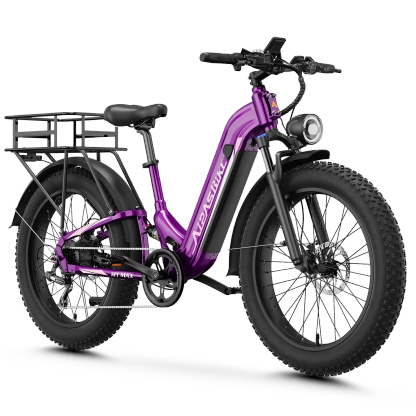 Aipas® M1 Pro Xterrain ST Ebike