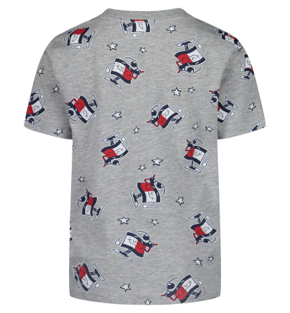 Tommy Hilfiger Boys' 2T-7 Short-Sleeve Graphic T-Shirt - Gray Heather