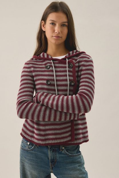 BDG Off Campus Hoodie Sweater - Brown