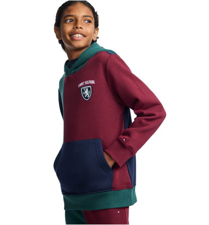 Tommy Hilfiger Boys' 8-20 Griffin Badge Colorblock Kangaroo Pocket Pullover Hoodie - June Bug