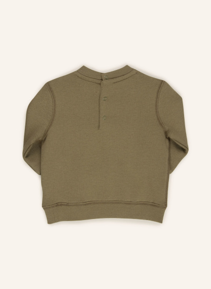 POLO RALPH LAUREN Sweatshirt – OLIV / HELLBRAUN / DUNKELORANGE