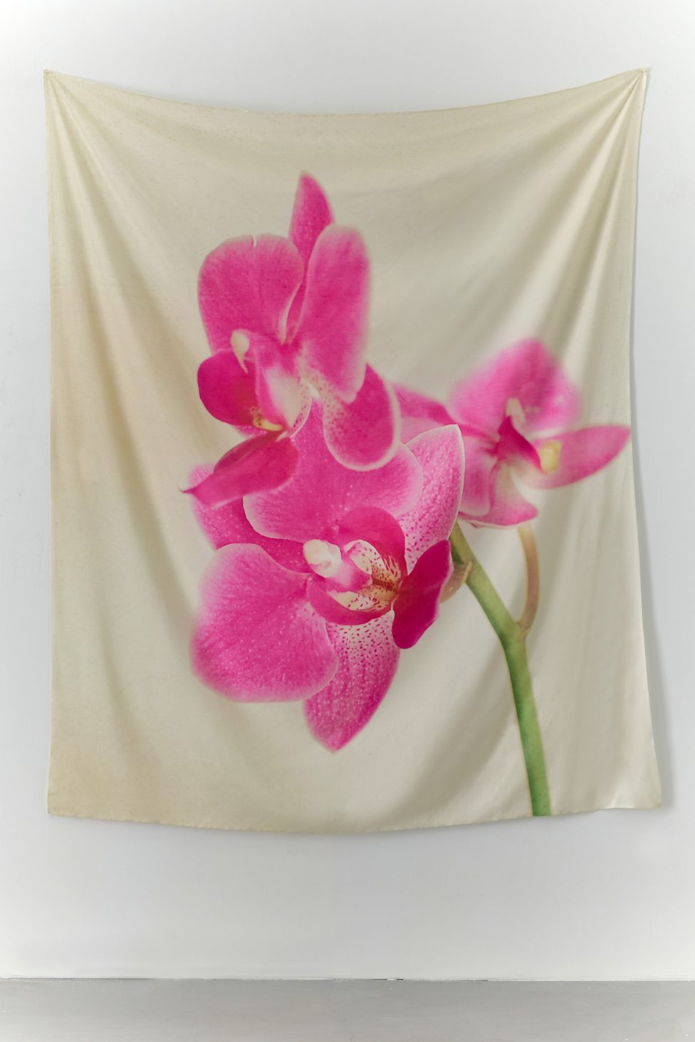 Pink Orchid Flower Tapestry - Pink
