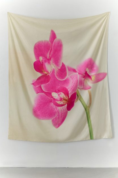 Pink Orchid Flower Tapestry - Pink