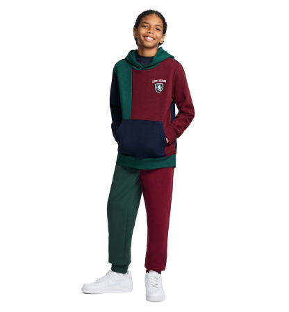 Tommy Hilfiger Boys' 8-20 Griffin Badge Colorblock Kangaroo Pocket Pullover Hoodie - June Bug