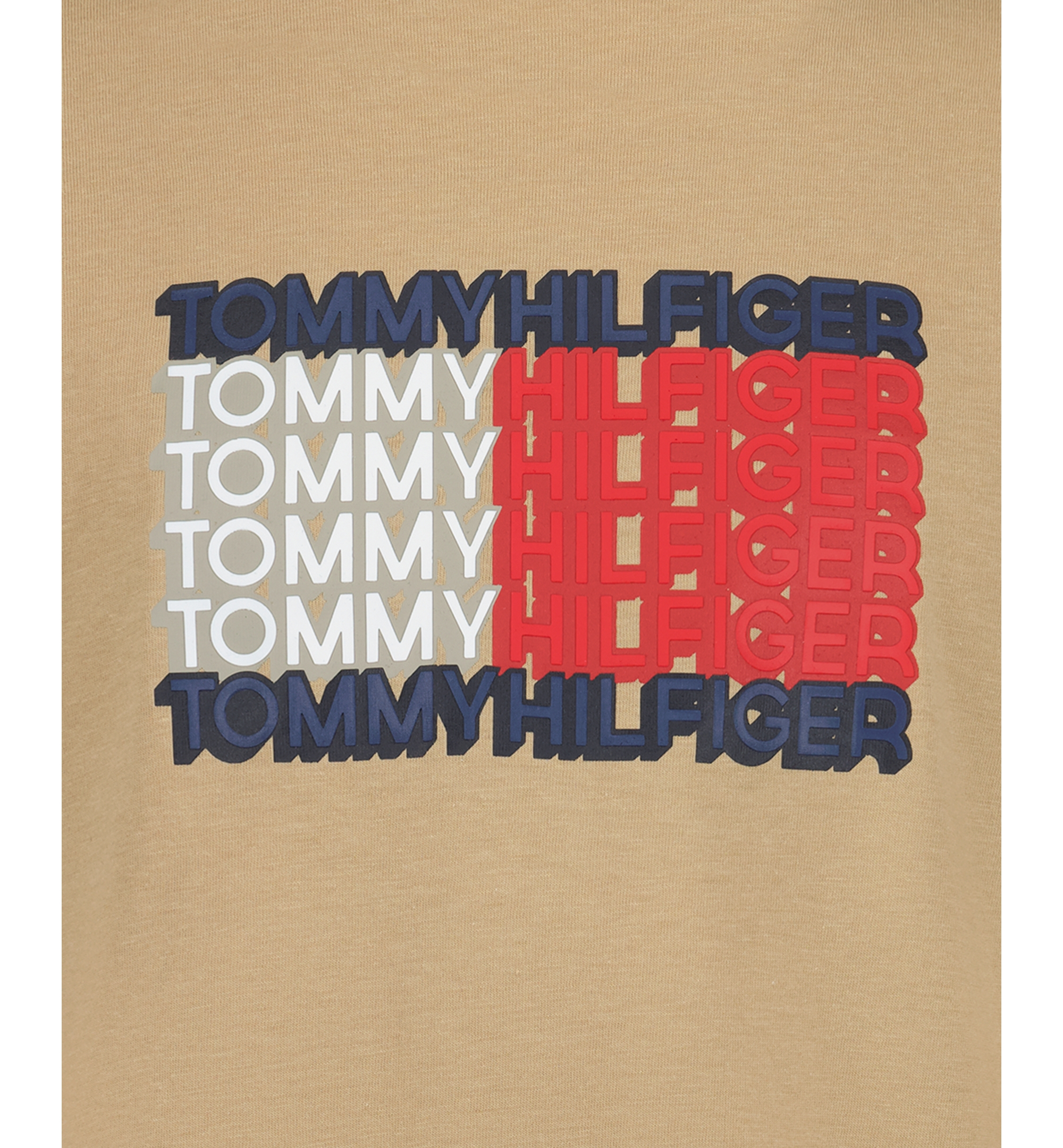 Tommy Hilfiger Boys' 8-20 3D Logo Flag Graphic Short-Sleeve T-Shirt - Incense