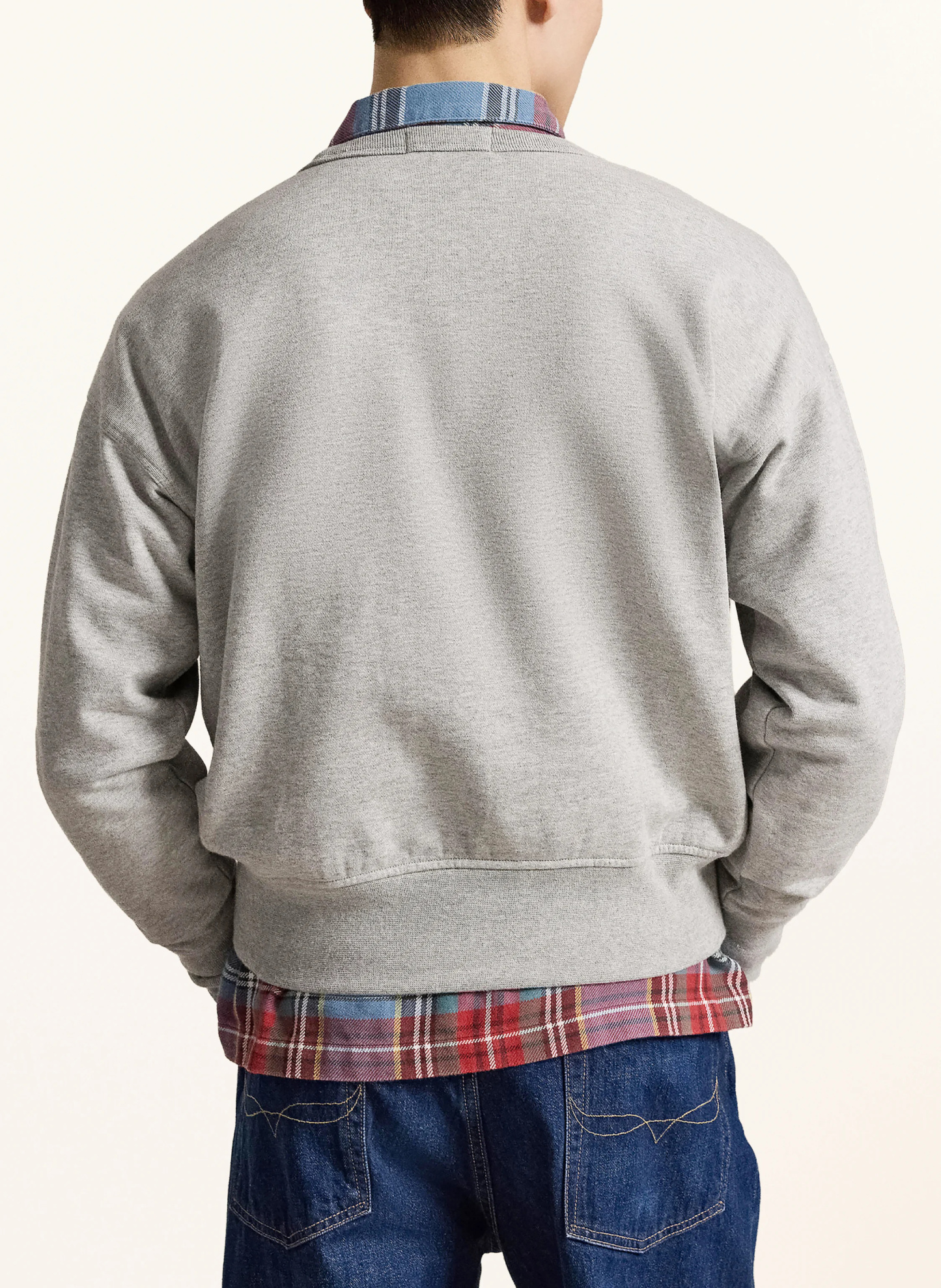 POLO RALPH LAUREN Sweatshirt – HELLGRAU / HELLBRAUN / BLAU