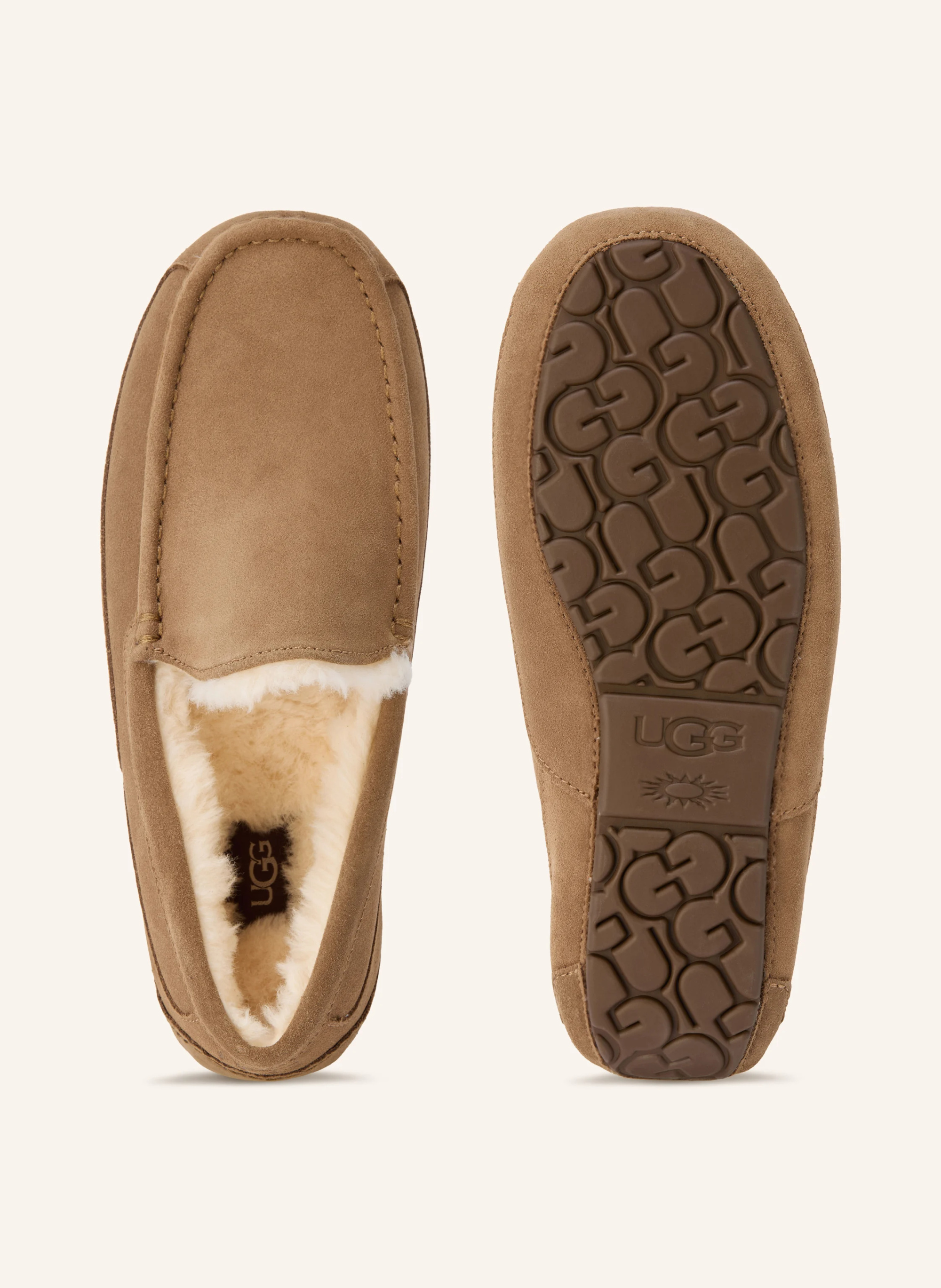 UGG Hausschuhe ASCOT – HELLBRAUN