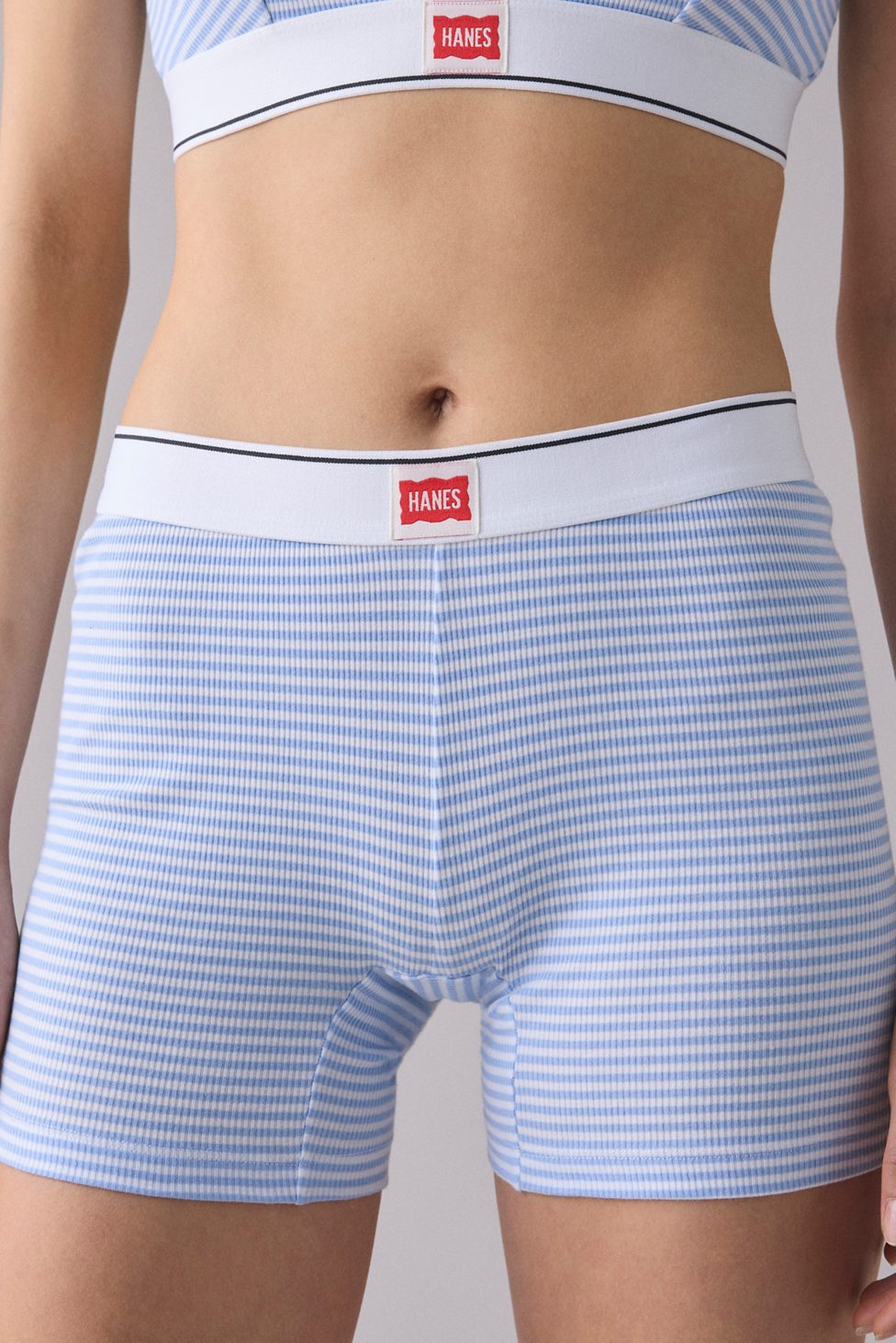 Hanes UO Exclusive Jersey Knit Boxer Briefs - Blue Stripe