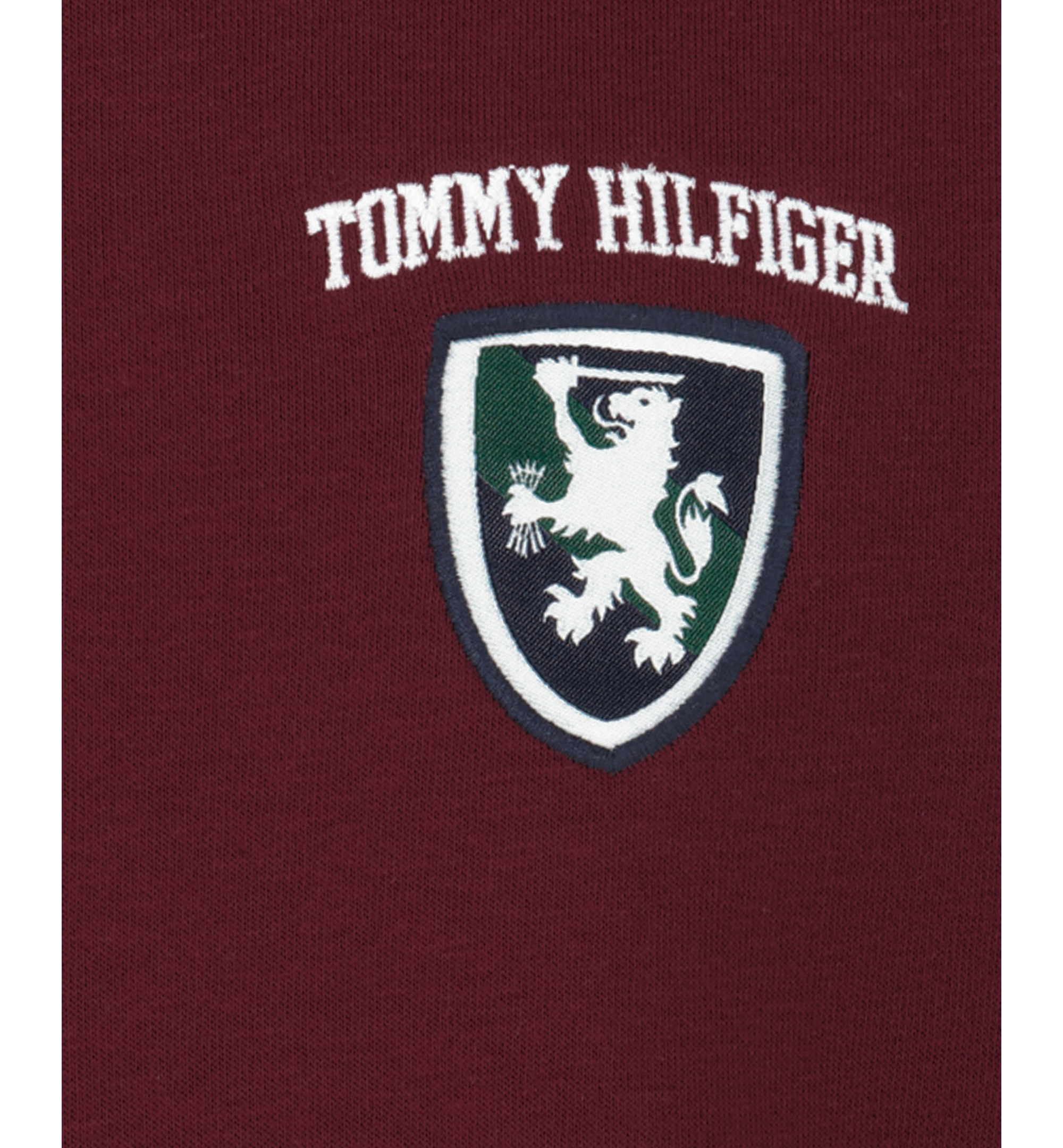 Tommy Hilfiger Boys' 8-20 Griffin Badge Colorblock Kangaroo Pocket Pullover Hoodie - June Bug