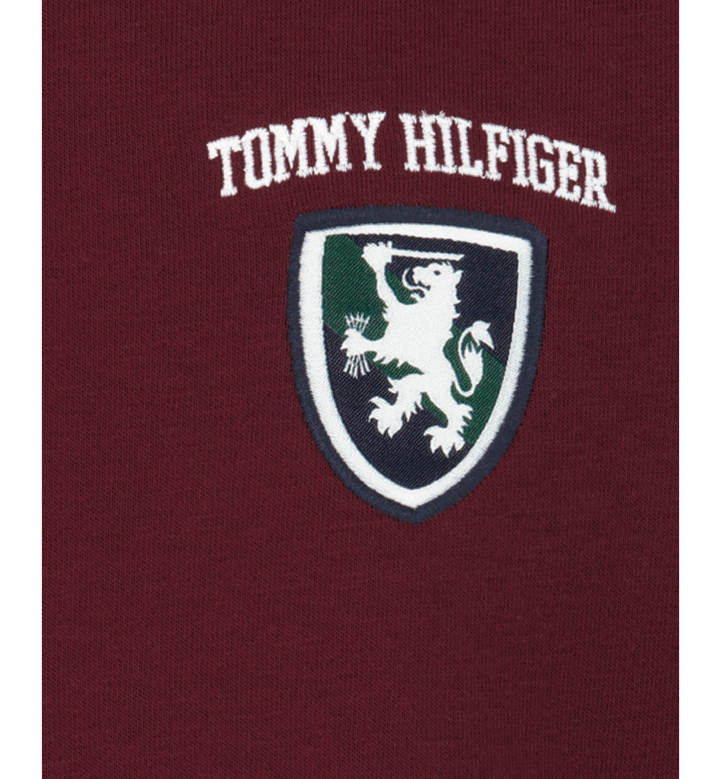 Tommy Hilfiger Boys' 8-20 Griffin Badge Colorblock Kangaroo Pocket Pullover Hoodie - June Bug