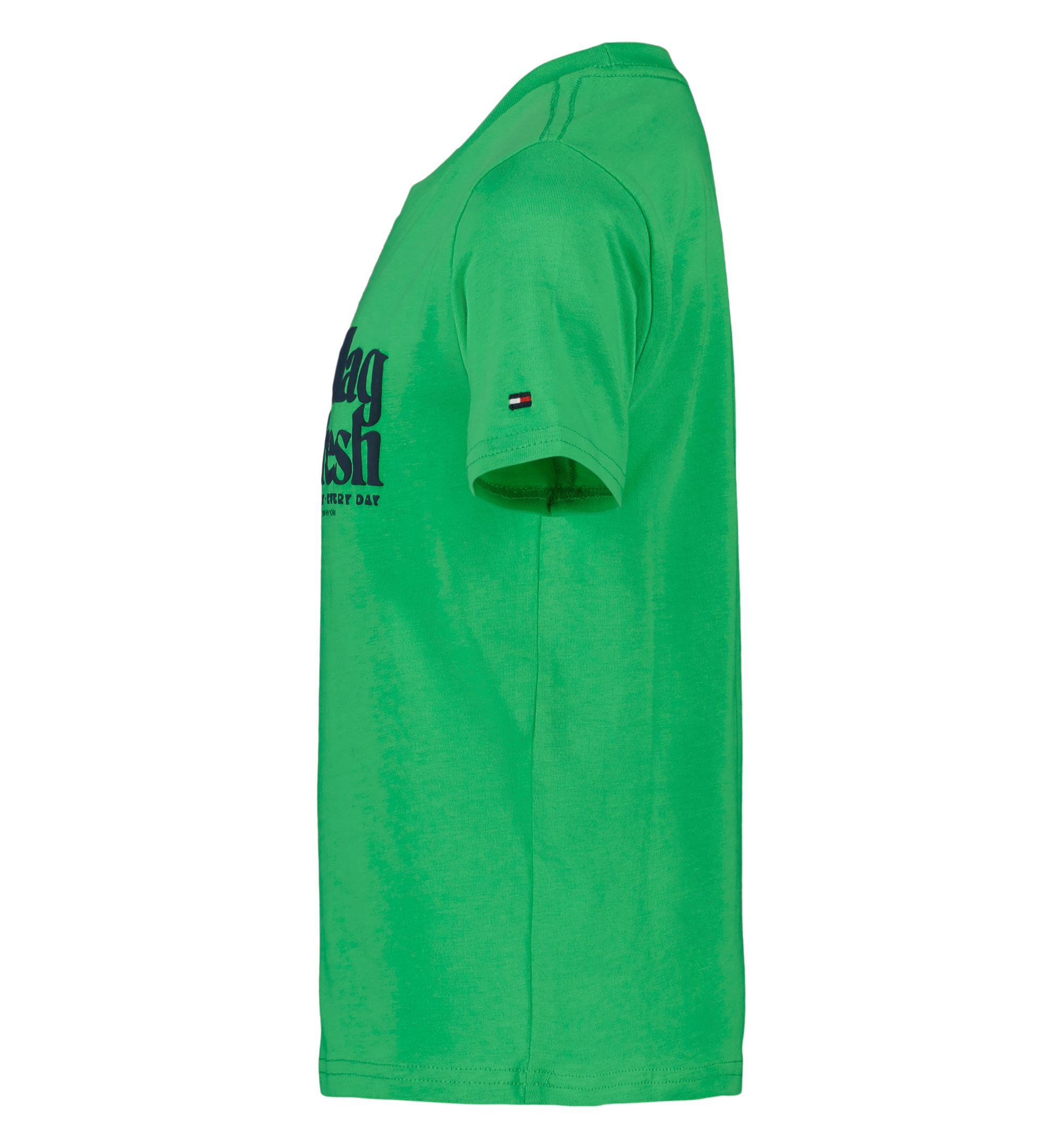 Tommy Hilfiger Boys' 2T-7 Flag Fresh Short-Sleeve T-Shirt - Island Green